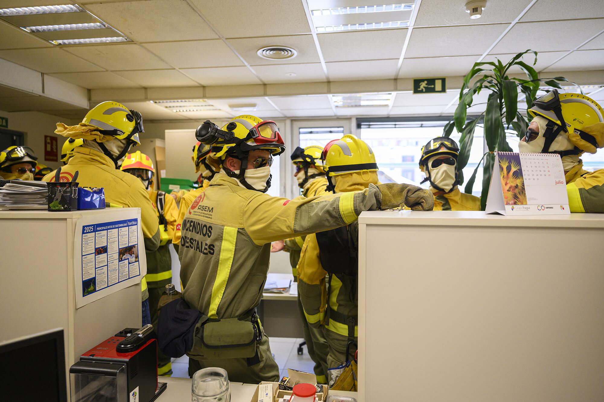 Forestales Tragsa - 13